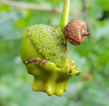 2016-09-17-10-05-08-cropped